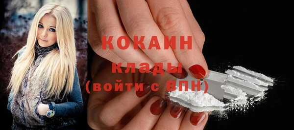 2c-b Богородицк