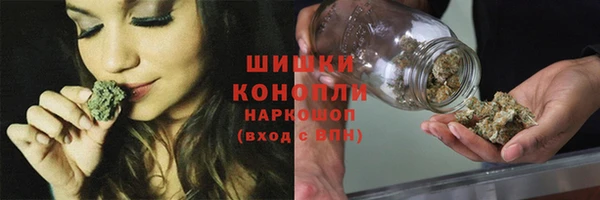 сатива Богданович