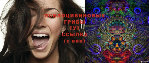 сатива Богданович