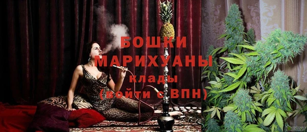 сатива Богданович