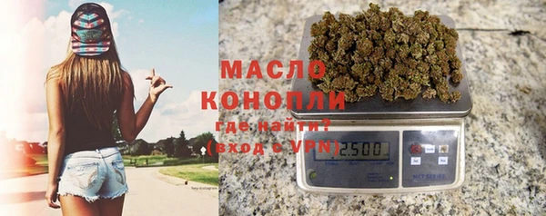 соль ск Богородск