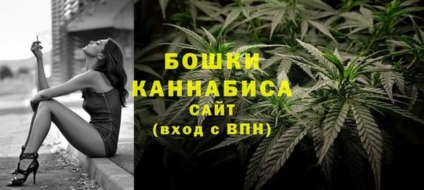 соль ск Богородск