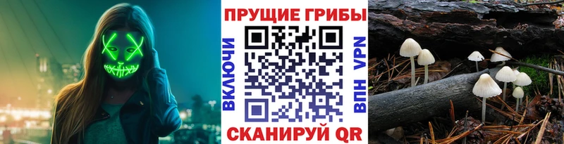 Галлюциногенные грибы ЛСД  где найти   Вуктыл 